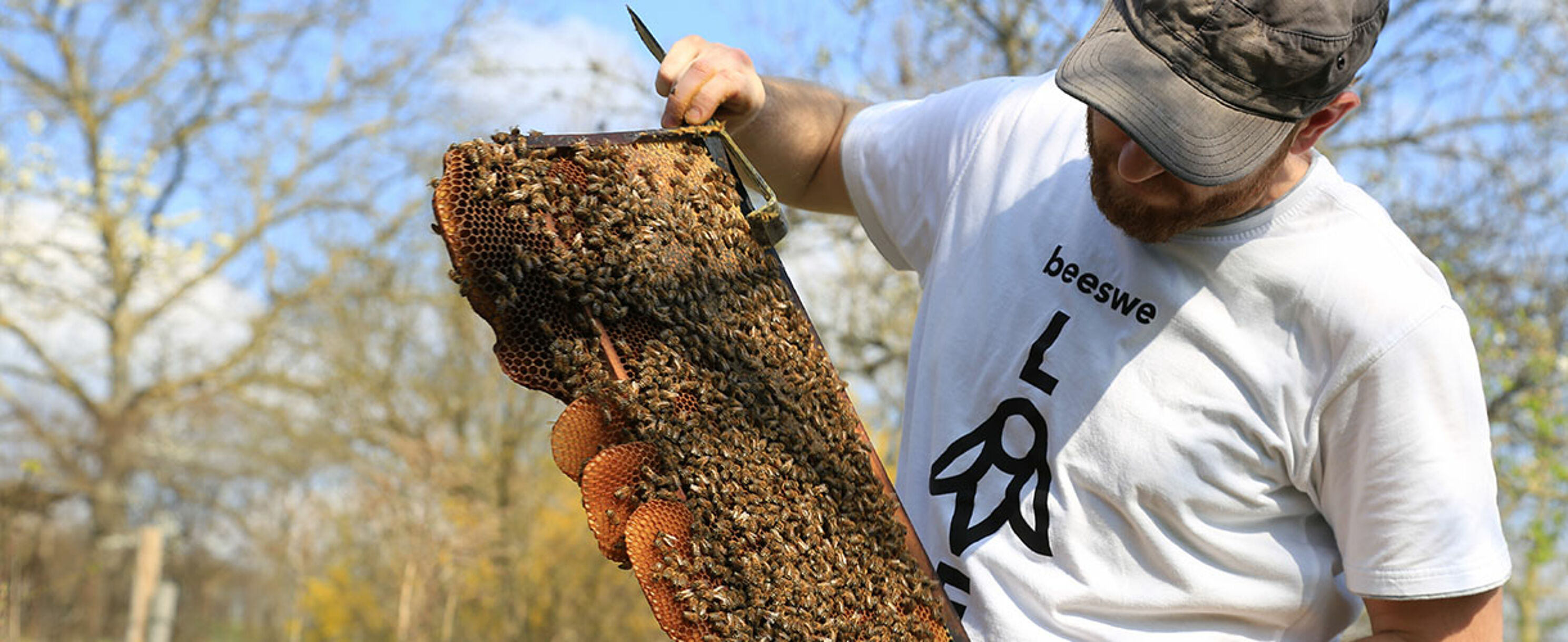 Ortel Mobile unterstützt beeswe.love für aktiven Umweltschutz 