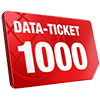 Data Ticket 1000 GB